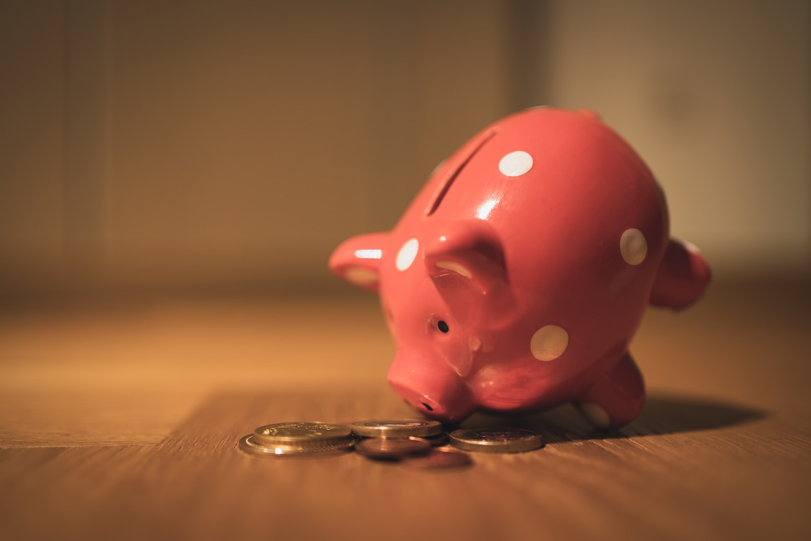 financial safety net