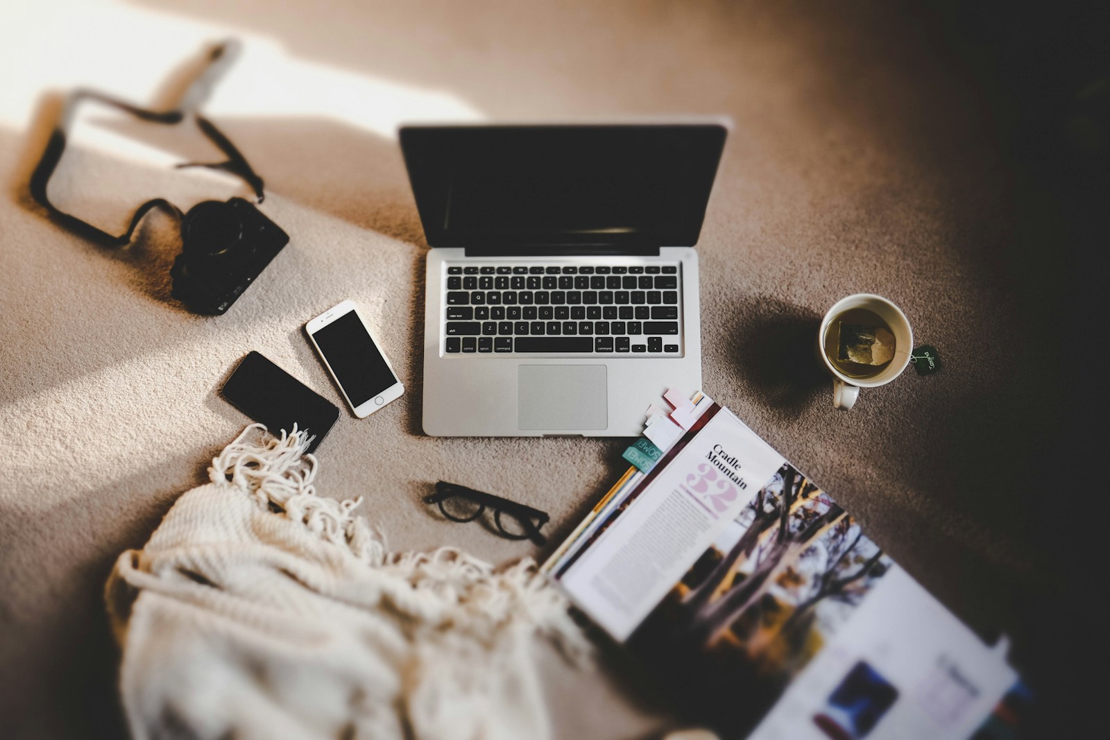 Freelance Proofreader