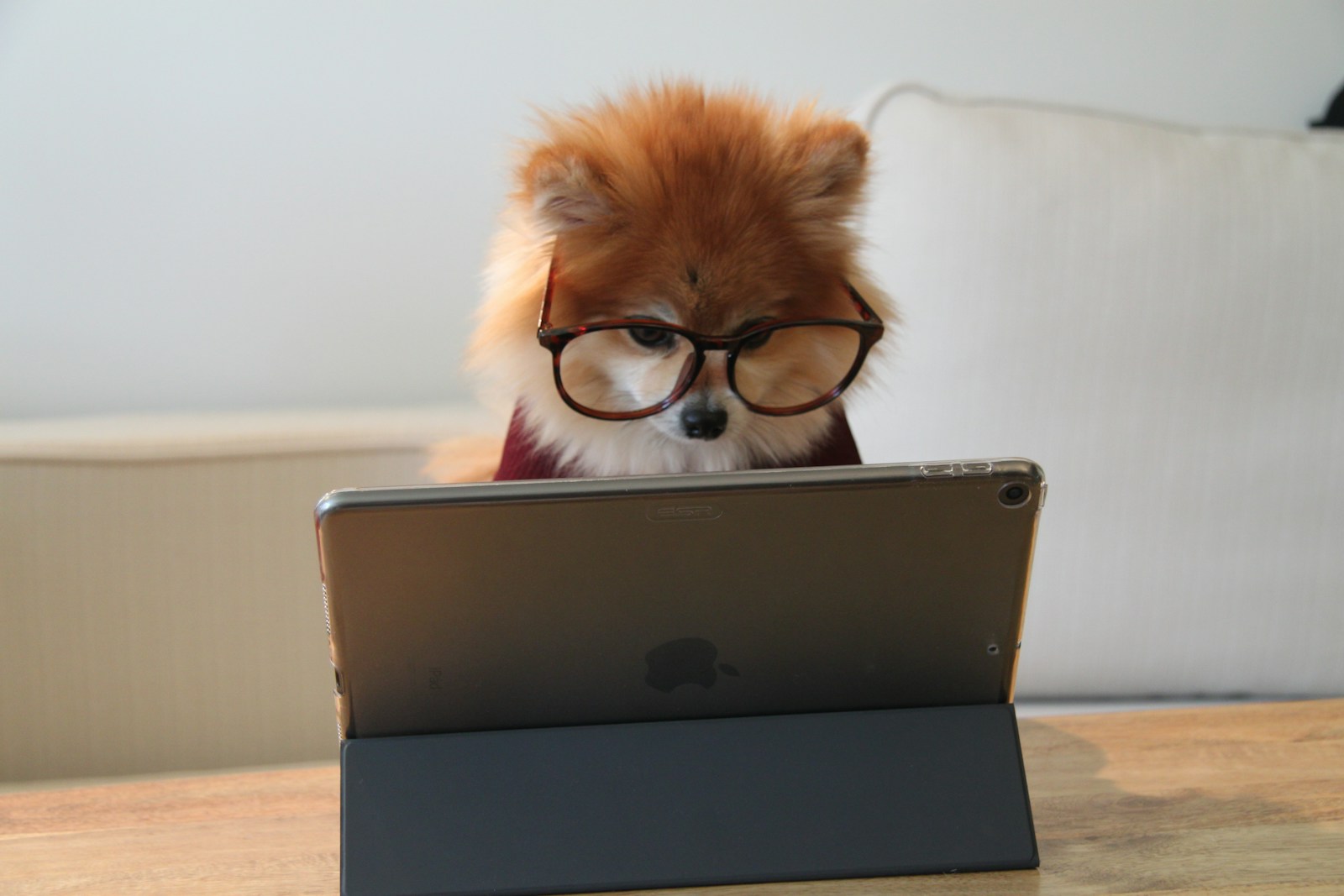 money-making side hustles