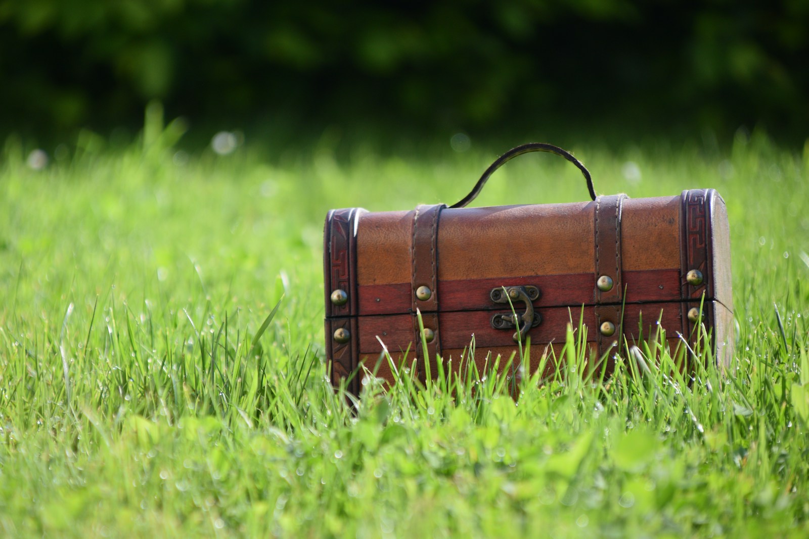 treasure hunting