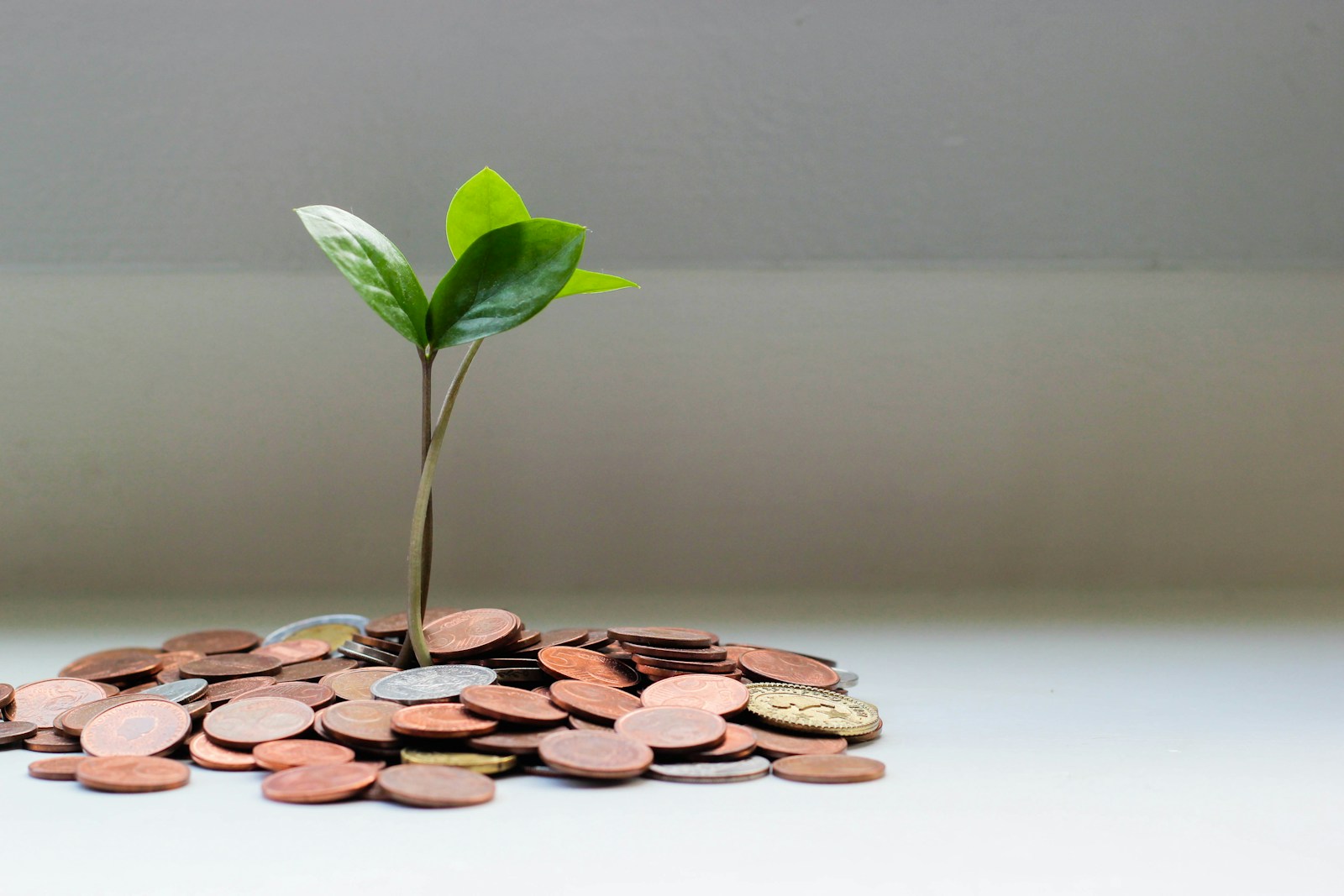 financial advisor