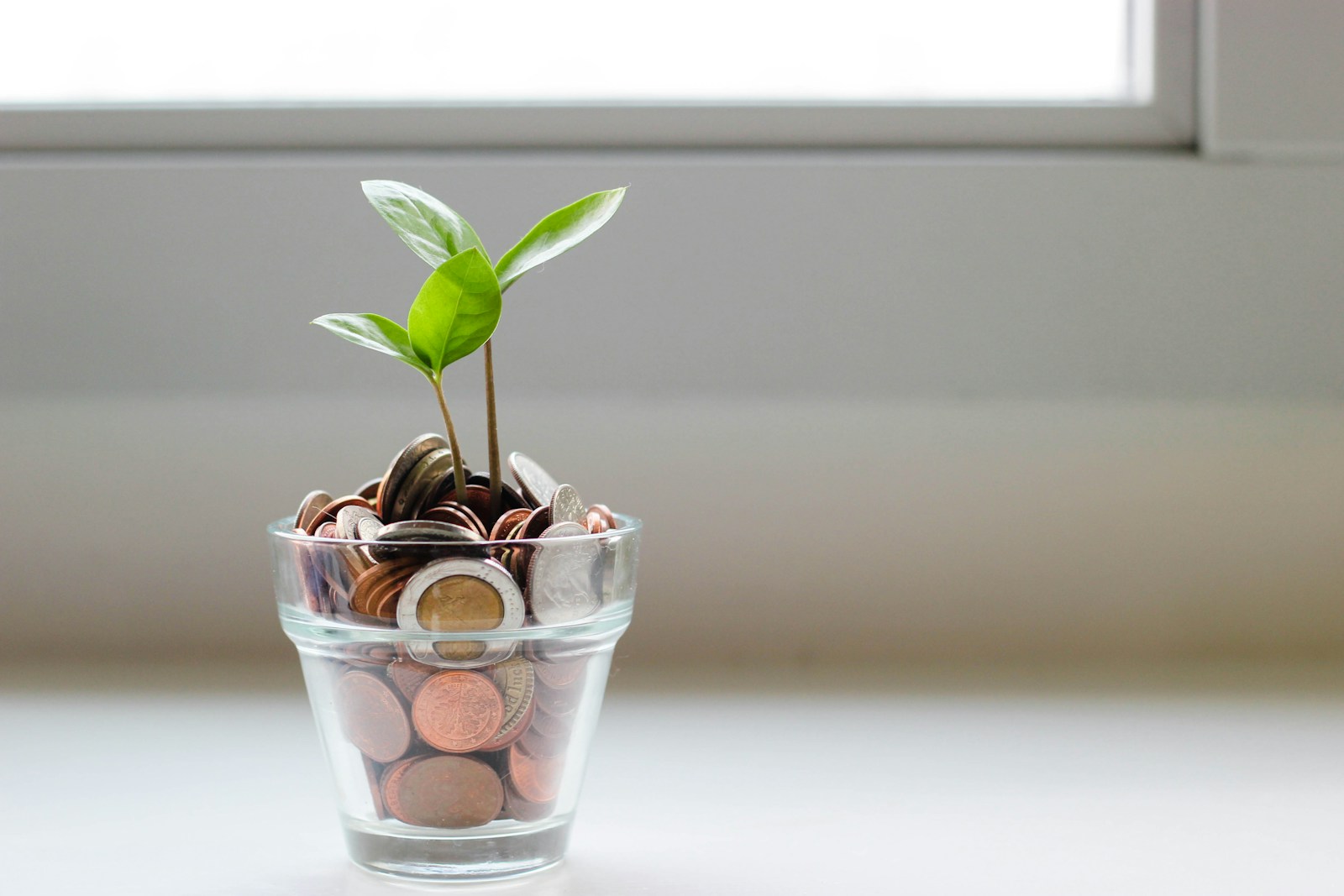 financial safety net