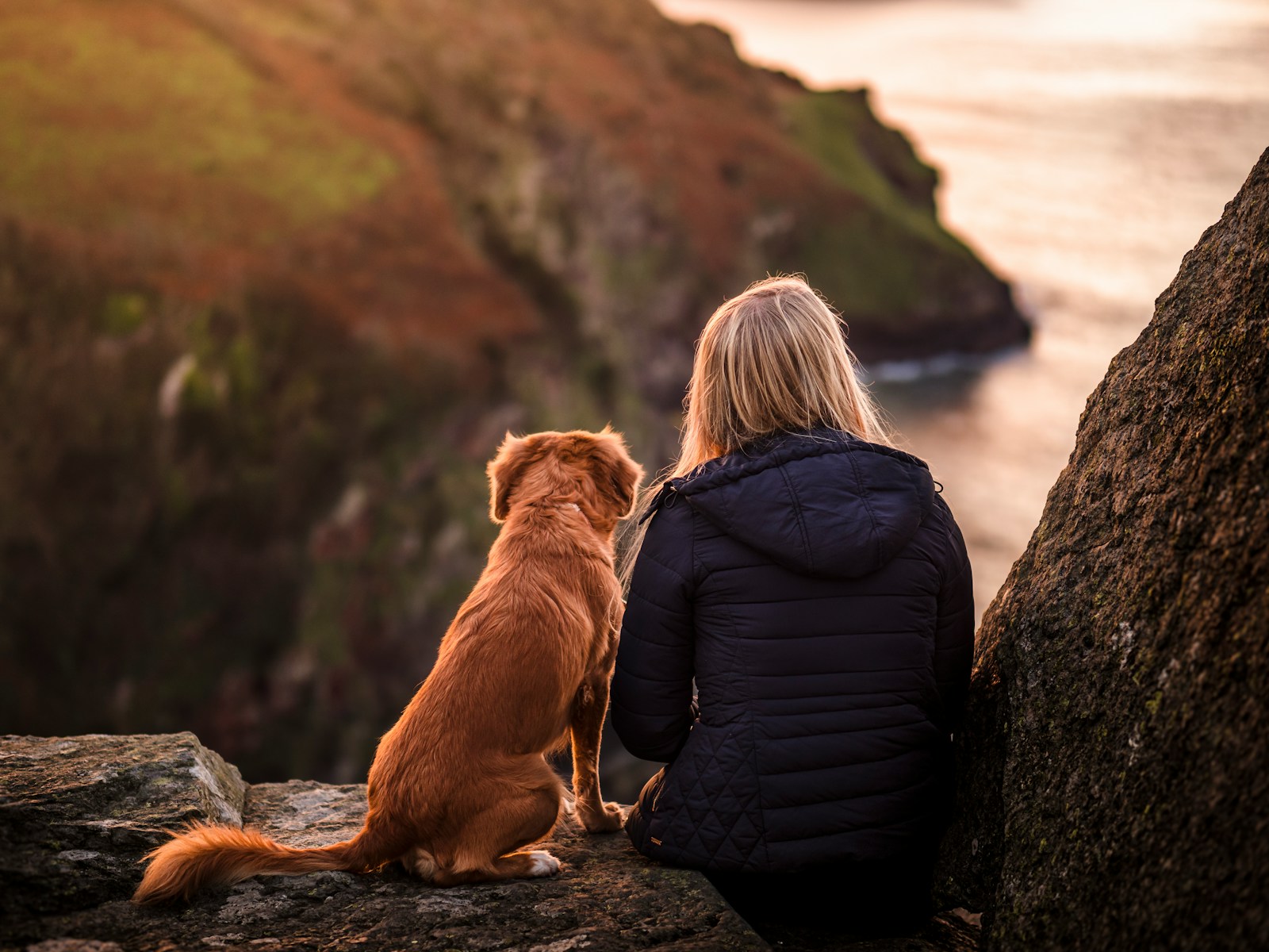 get paid for dog time